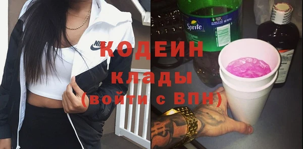 прущий лед Арсеньев