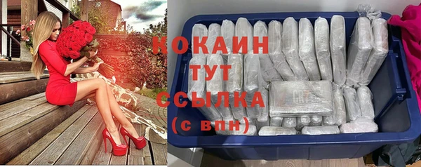 прущий лед Арсеньев
