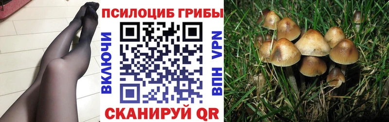 Псилоцибиновые грибы Psilocybe  продажа наркотиков  Белокуриха 